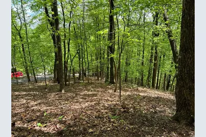 0 Valley View Drive, Jasper, GA 30143 - Photo 9