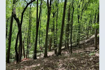 0 Valley View Drive, Jasper, GA 30143 - Photo 11