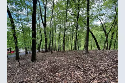 0 Valley View Drive, Jasper, GA 30143 - Photo 5