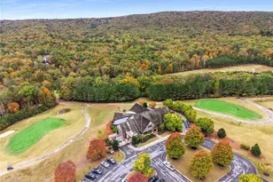 102 Jack Pine Ct, Waleska, GA 30183 - Photo 49