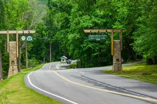 84 Hughes Pl Dr, Dawsonville, GA 30534 - Photo 51