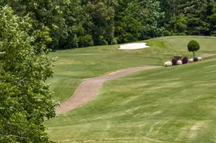 84 Hughes Pl Dr, Dawsonville, GA 30534 - Photo 59