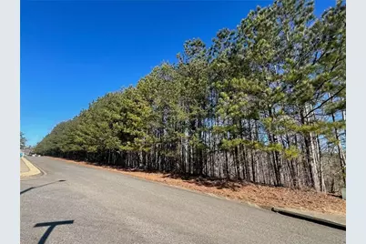 920 Whistler Lane, Canton, GA 30114 - Photo 3