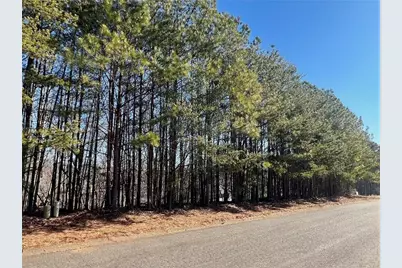 920 Whistler Lane, Canton, GA 30114 - Photo 9