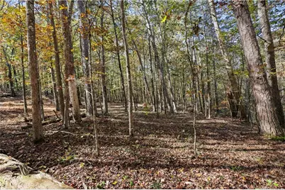 1210 Carson Graves Road, Watkinsville, GA 30677 - Photo 59