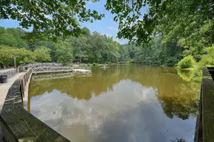 330 Davis Ln, Woodstock, GA 30188 - Photo 57