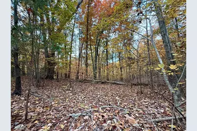 1345 Hunter Drive, Ranger, GA 30734 - Photo 5