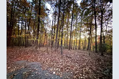 1345 Hunter Drive, Ranger, GA 30734 - Photo 3