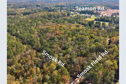 176 Smoak Field Road, Griffin, GA 30223 - Photo 5