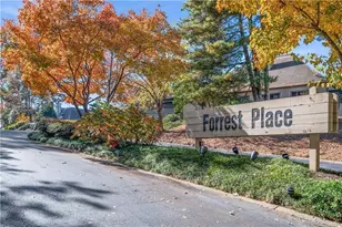 25 Forrest Pl, Atlanta, GA 30328 - Photo 39