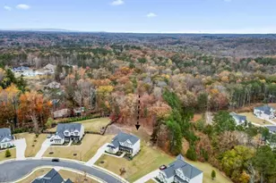 207 Milton Overlook Pass, Woodstock, GA 30188 - Photo 81