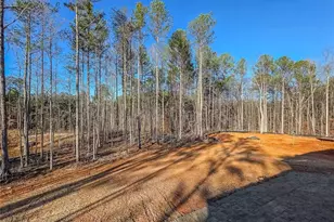 181 Lexie Ct, Rockmart, GA 30153 - Photo 53