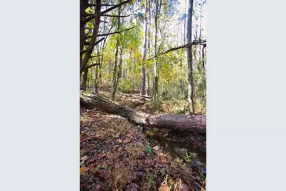 4685 Barnes Court, Loganville, GA 30052 - Photo 37