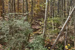 4685 Barnes Ct, Loganville, GA 30052 - Photo 39