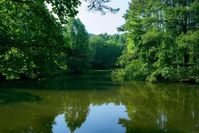 184 Rockhouse Road, Cherry Log, GA 30522 - Photo 29