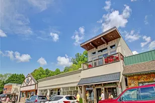 685 E Main St, Blue Ridge, GA 30513 - Photo 57