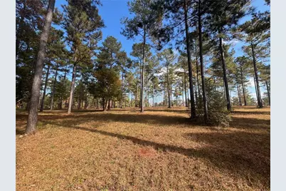 117 Overlook Drive, Eatonton, GA 31024 - Photo 17