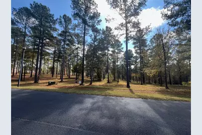 117 Overlook Drive, Eatonton, GA 31024 - Photo 11