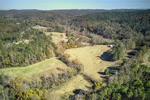 715 E Cochran Rd SE, Ranger, GA 30734 - Photo 3
