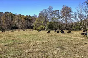 715 E Cochran Rd SE, Ranger, GA 30734 - Photo 69