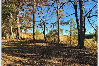 715 E Cochran Road SE, Ranger, GA 30734 - Photo 75