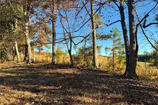 715 E Cochran Rd SE, Ranger, GA 30734 - Photo 75