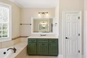 172 Shellbark Dr, McDonough, GA 30252 - Photo 35