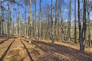 116 Lakota Dr, Dawsonville, GA 30534 - Photo 93