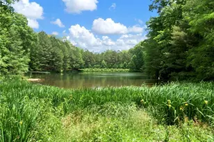 1402 Henderson Mountain Rd, Jasper, GA 30143 - Photo 19