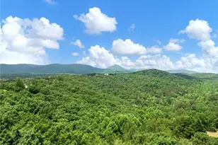 1402 Henderson Mountain Rd, Jasper, GA 30143 - Photo 21