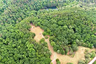 1402 Henderson Mountain Rd, Jasper, GA 30143 - Photo 23