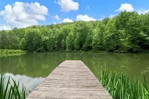 1402 Henderson Mountain Rd, Jasper, GA 30143 - Photo 65