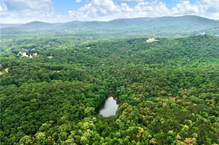 1402 Henderson Mountain Rd, Jasper, GA 30143 - Photo 25