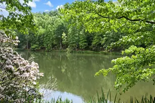 1402 Henderson Mountain Rd, Jasper, GA 30143 - Photo 17