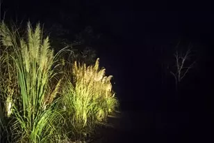 942 Artistry Way, Fairburn, GA 30213 - Photo 55