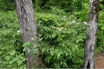 Lot 28 High Summit Drive, Talking Rock, GA 30175 - Photo 19