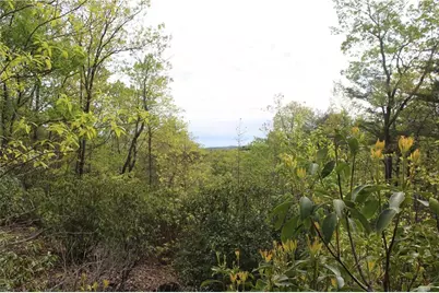 Lot 19 Owl Mountain Road, Ellijay, GA 30540 - Photo 13