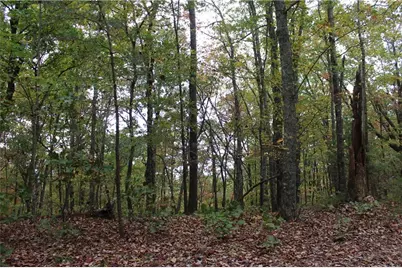 Lot 19 Owl Mountain Road, Ellijay, GA 30540 - Photo 5