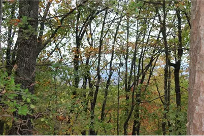 Lot 19 Owl Mountain Road, Ellijay, GA 30540 - Photo 3
