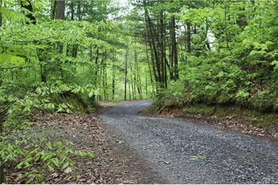 Lot 19 Owl Mountain Road, Ellijay, GA 30540 - Photo 25