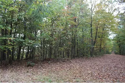 Lot 19 Owl Mountain Road, Ellijay, GA 30540 - Photo 11