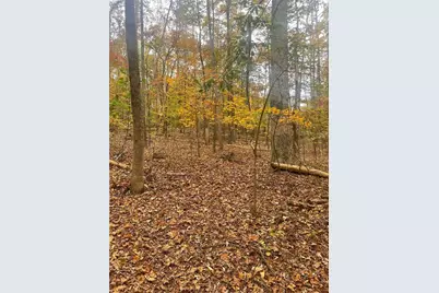 0 Lake Club Drive, Lavonia, GA 30553 - Photo 7