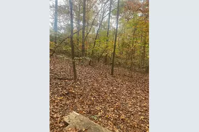 0 Lake Club Drive, Lavonia, GA 30553 - Photo 5