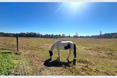486 County Line Road, Resaca, GA 30735 - Photo 35