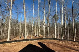 91 Lenten Rose Ln, Pendergrass, GA 30567 - Photo 11