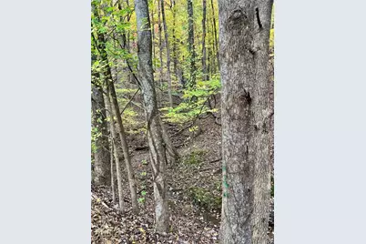 3364 Crippled Oak Trail, Jasper, GA 30143 - Photo 7