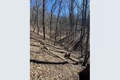 3364 Crippled Oak Trail, Jasper, GA 30143 - Photo 11