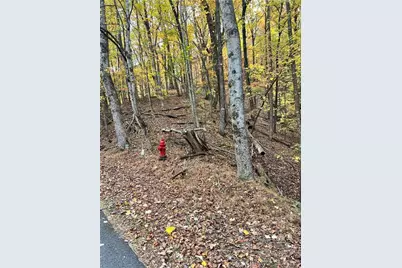 3364 Crippled Oak Trail, Jasper, GA 30143 - Photo 5