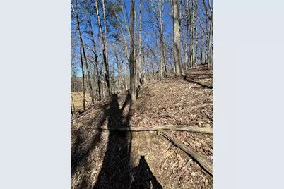 3364 Crippled Oak Trail, Jasper, GA 30143 - Photo 9