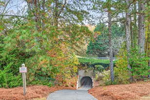 1090 River Valley Dr, Dacula, GA 30019 - Photo 69